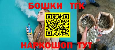 spice Гатчина