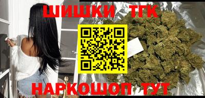 spice Гатчина