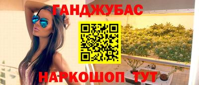 spice Гатчина