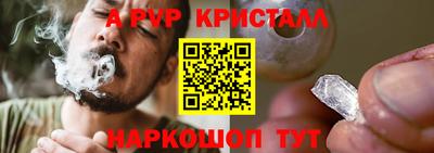 spice Гатчина