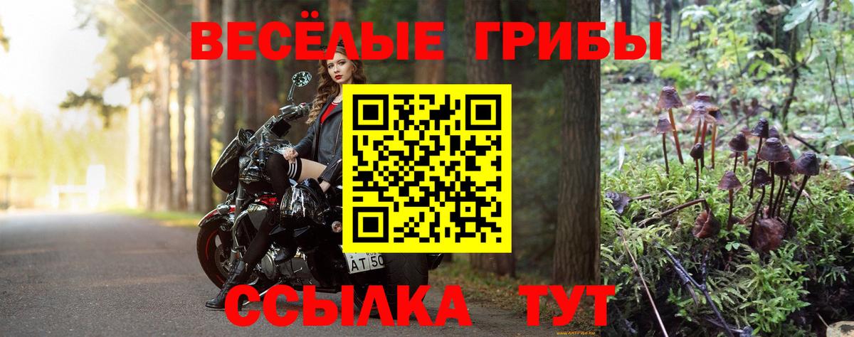 Галлюциногенные грибы мухоморы Нальчик